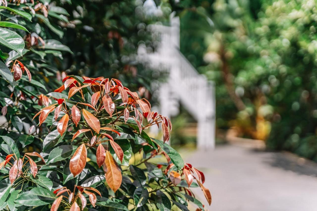 Balmoral Queenslander Brisbane Zewnętrze zdjęcie