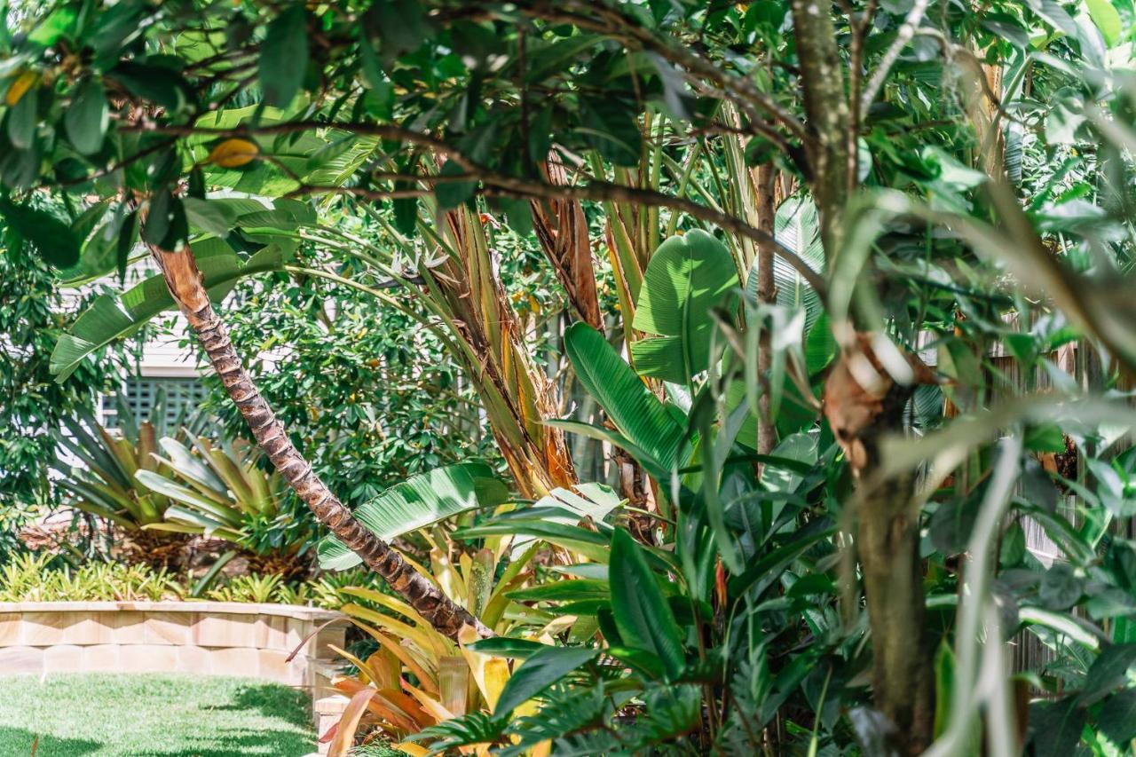Balmoral Queenslander Brisbane Zewnętrze zdjęcie